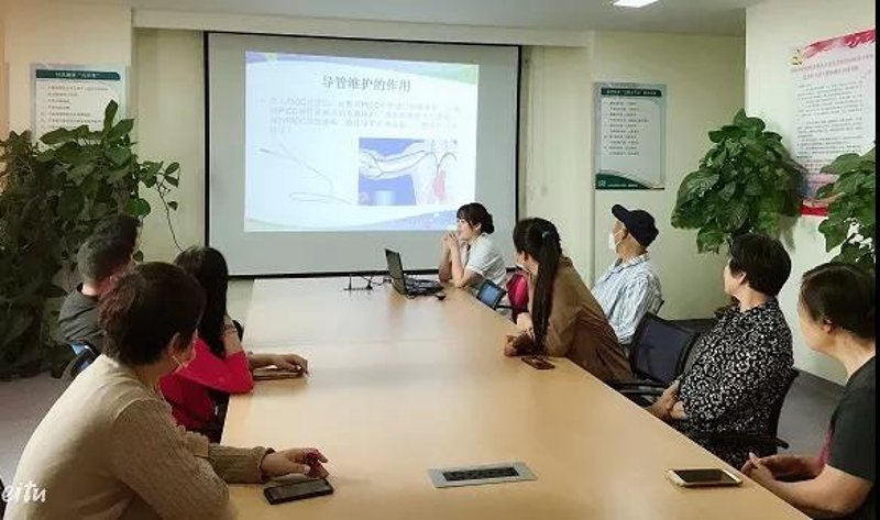 AI全自动养站程序：为网站优化插上智能翅膀
